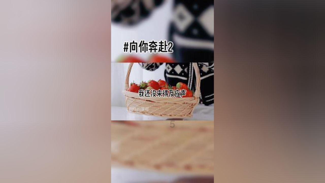俄罗斯人如何看待中国电影:只看成龙的功夫片和在欧洲获奖的电影