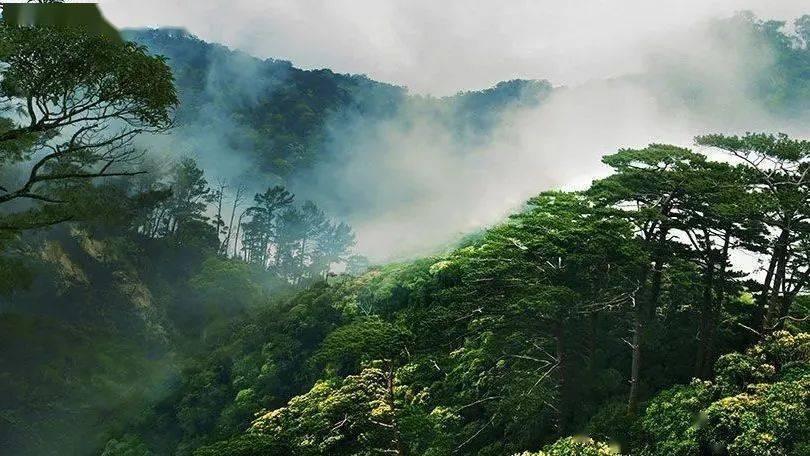 加了吉利丁片的奶茶可以喝吗？游戏画面