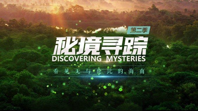 锦泓集团：目前暂未开展海外TikTok业务