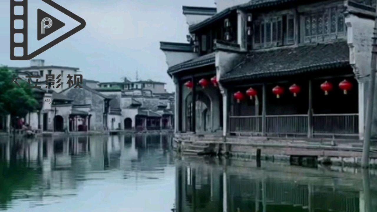 新春赏“梅”景！170多盆“大师级”盆景一次看过瘾